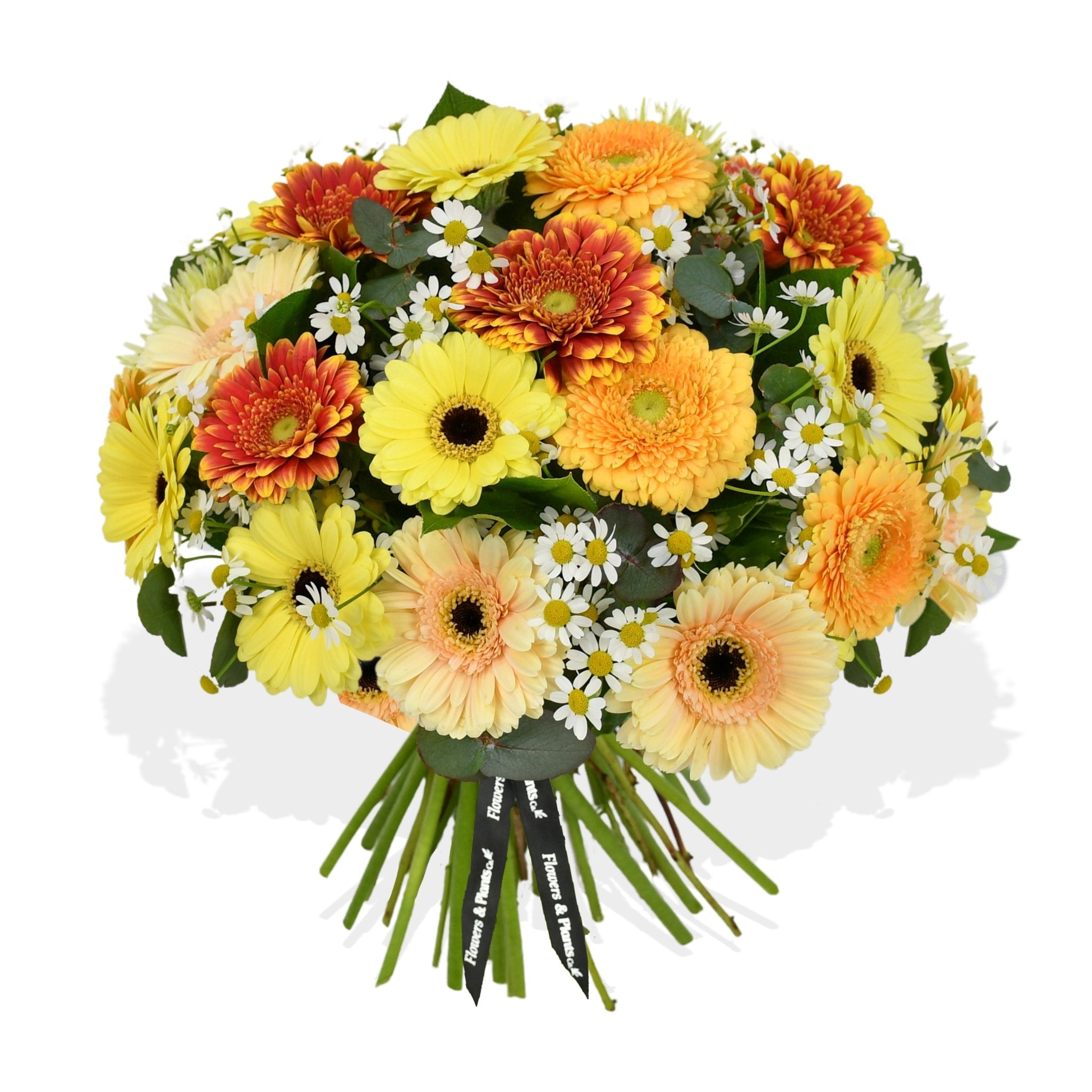 Orange seasonal flowers